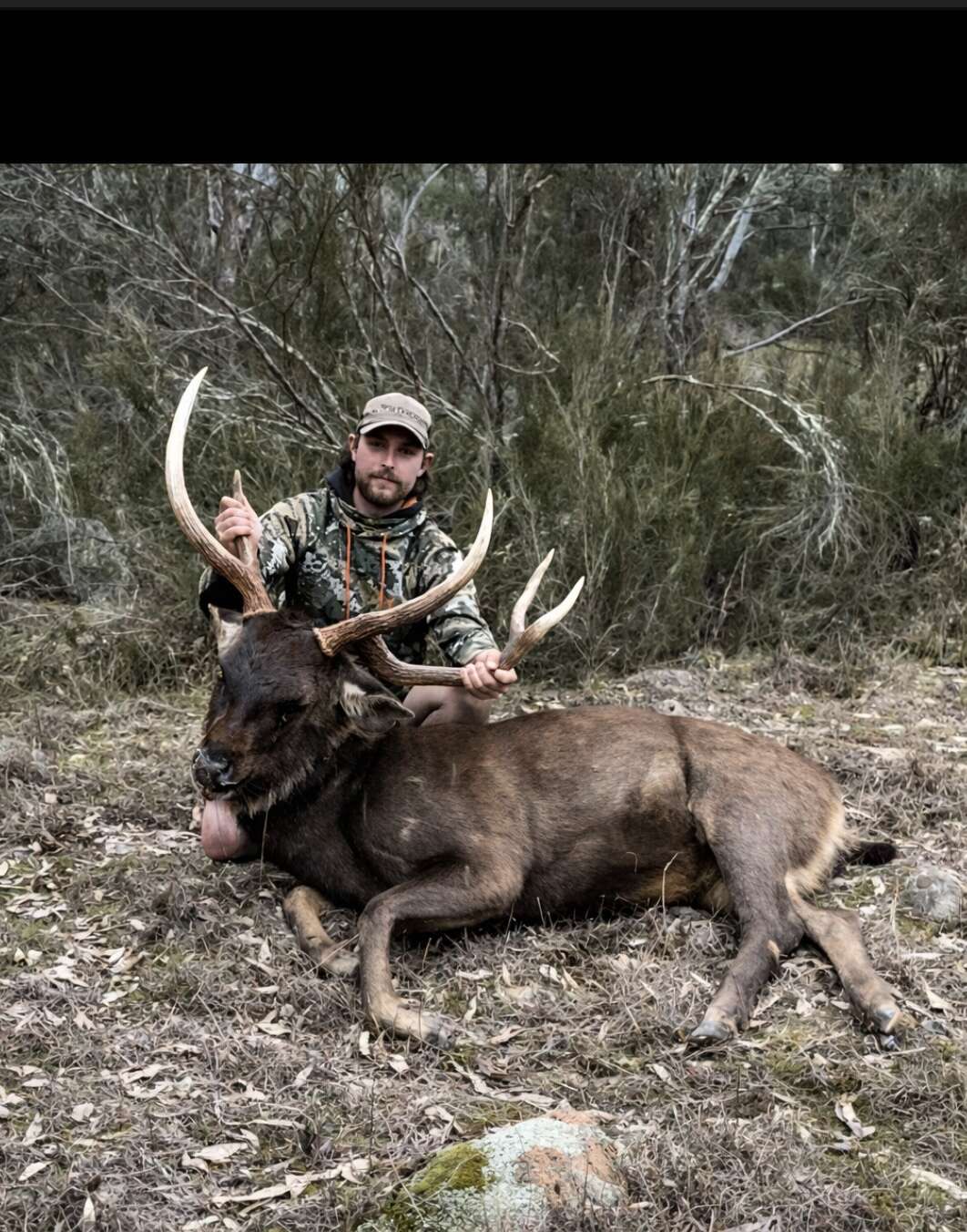 TWO STAGS AND THE LESSONS BETWEEN THEM