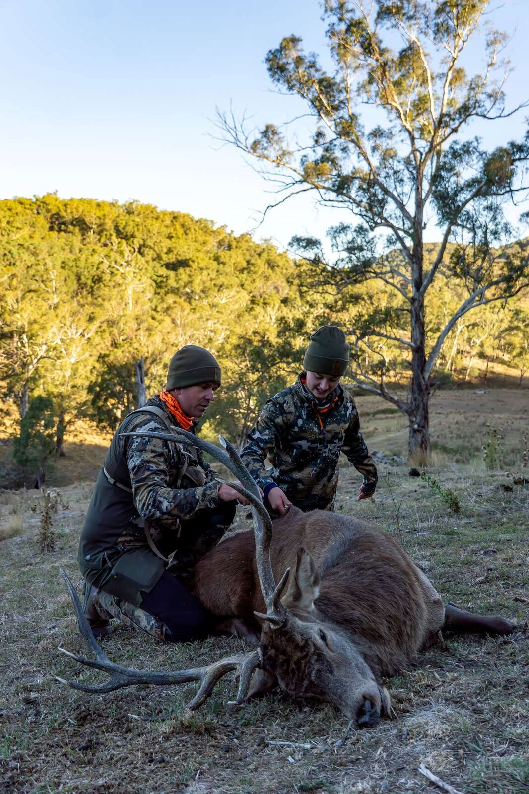 THE NEXT GENERATION: A ROAR &amp; RUT TO REMEMBER