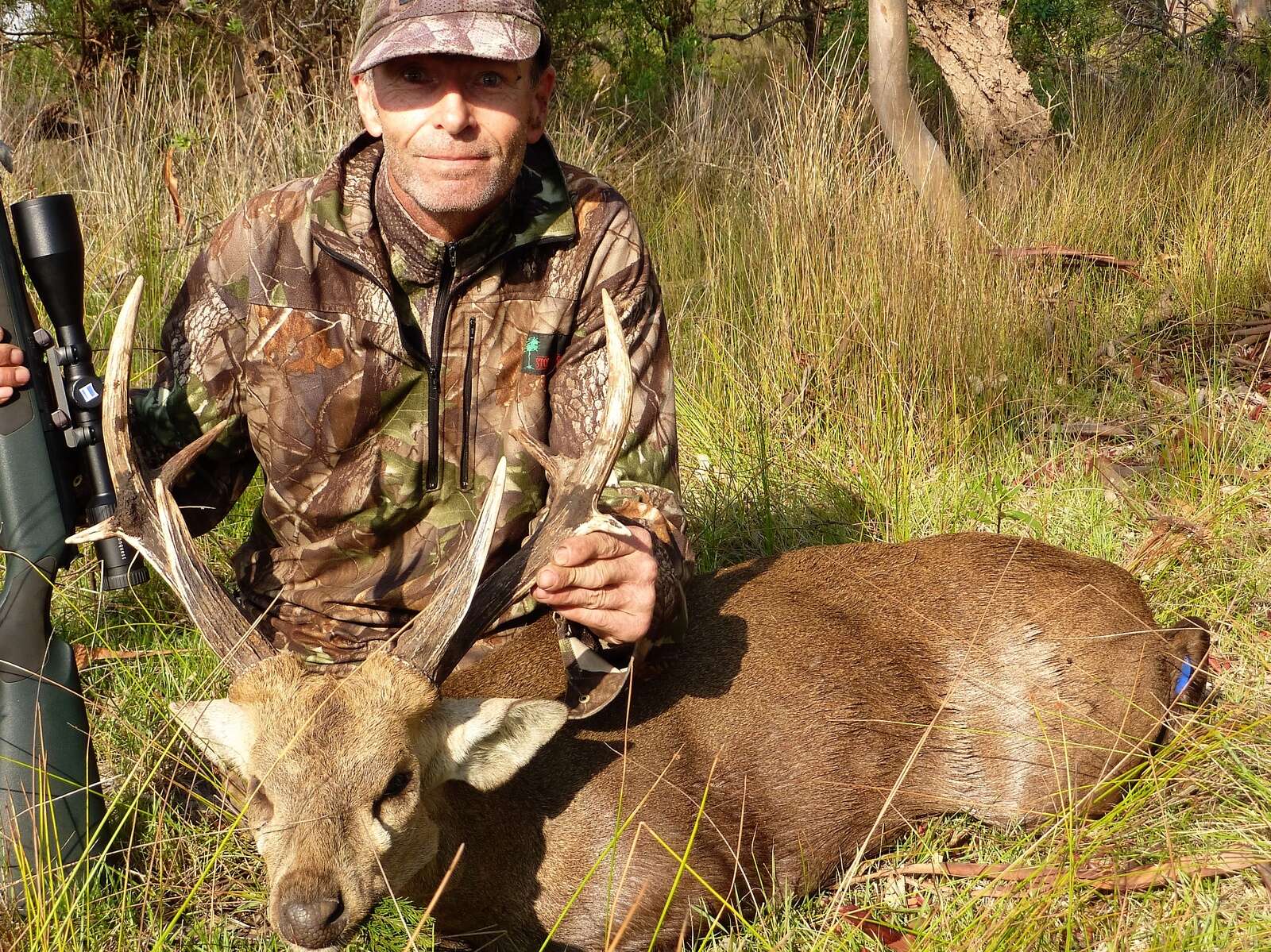 HOG DEER STAG TAKEN BY VOLKER BUETTNER