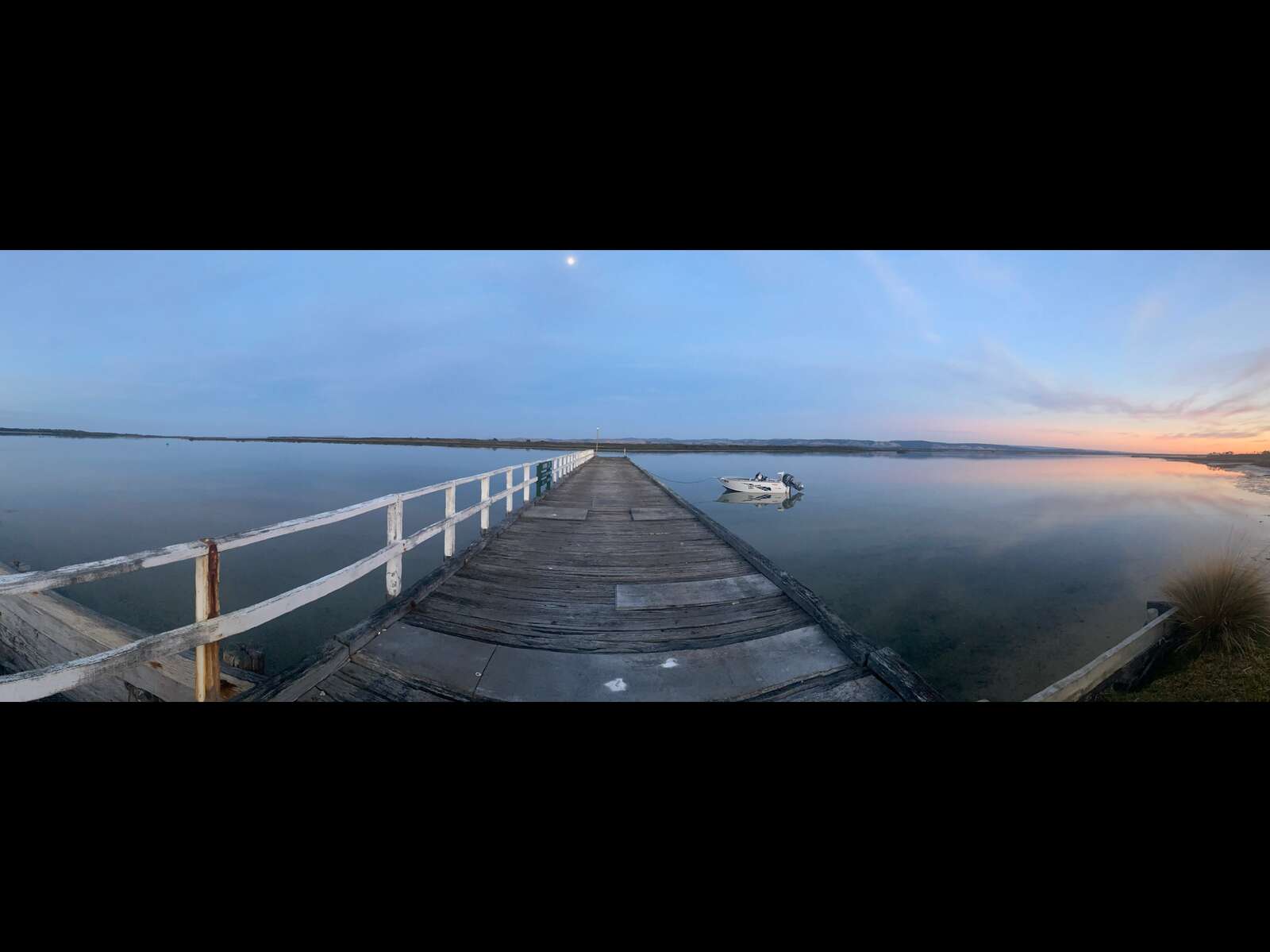 A HOG DEER DREAM REALISED – SNAKE ISLAND, PERIOD ONE
