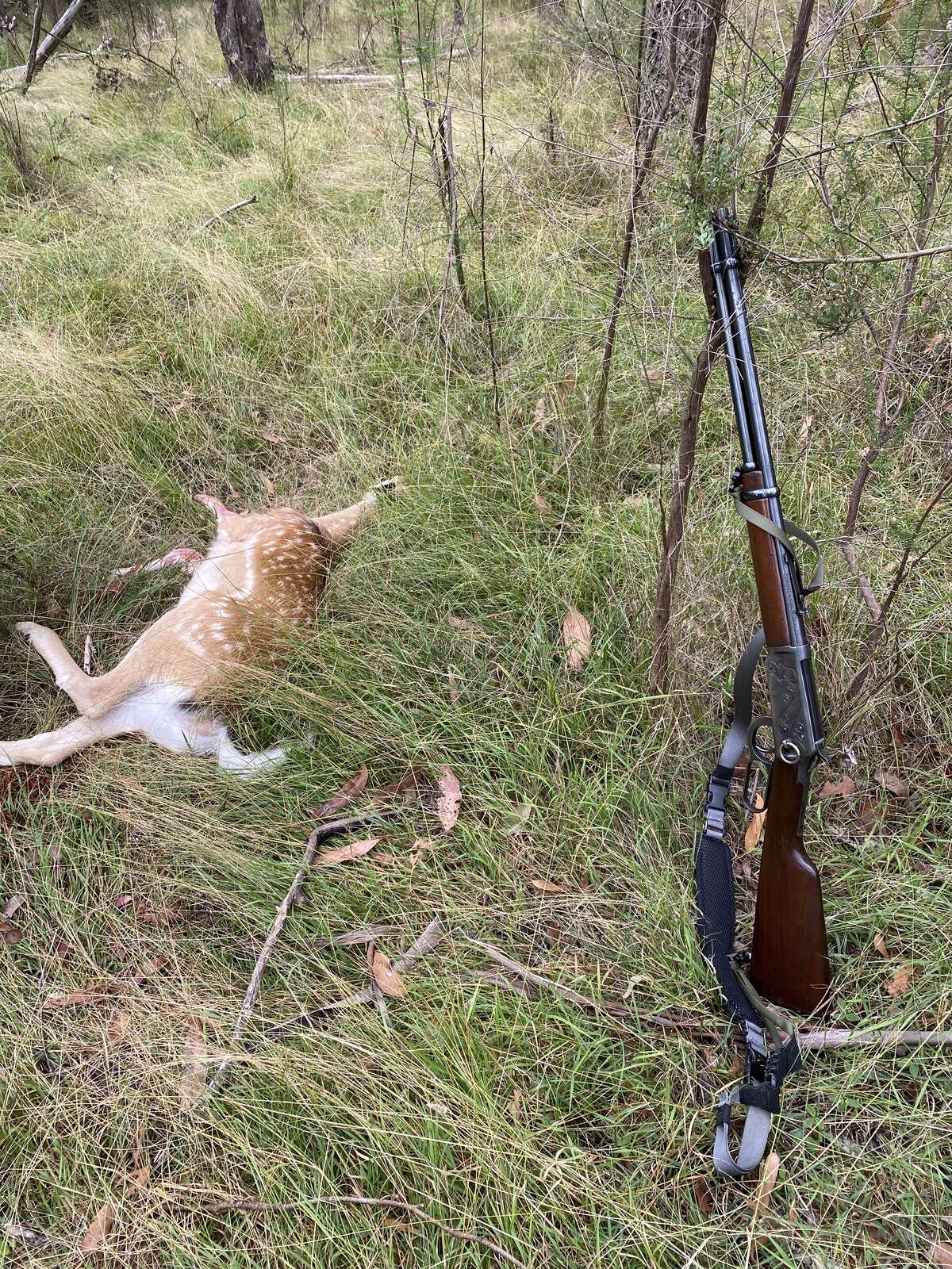 A GUIDE TO GETTING’ INTO HUNTIN’