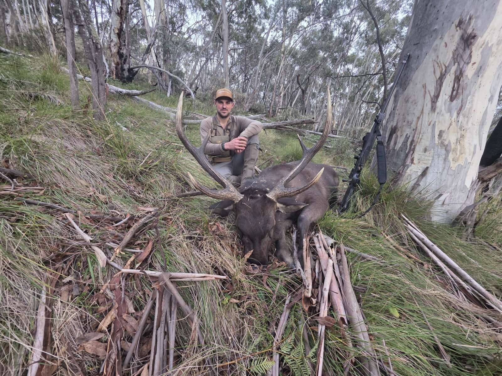 NEW ZEALAND HERDS OF SPECIAL INTEREST