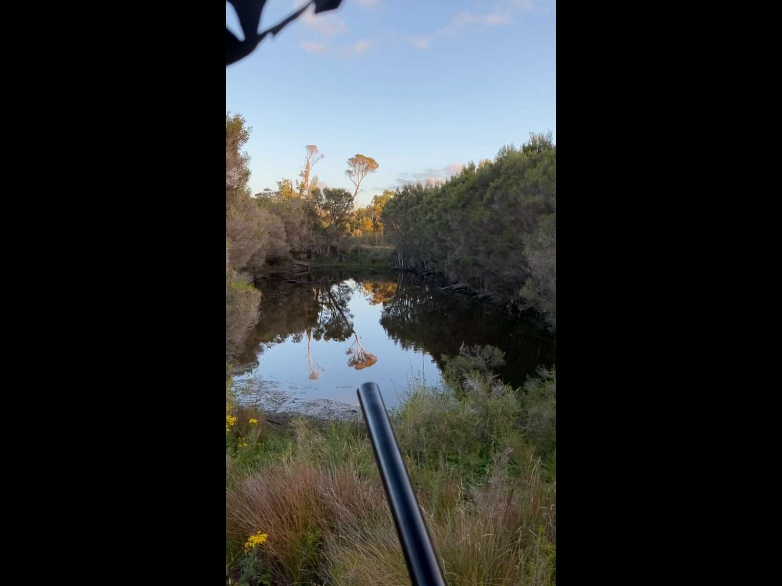 A HOG DEER DREAM REALISED – SNAKE ISLAND, PERIOD ONE