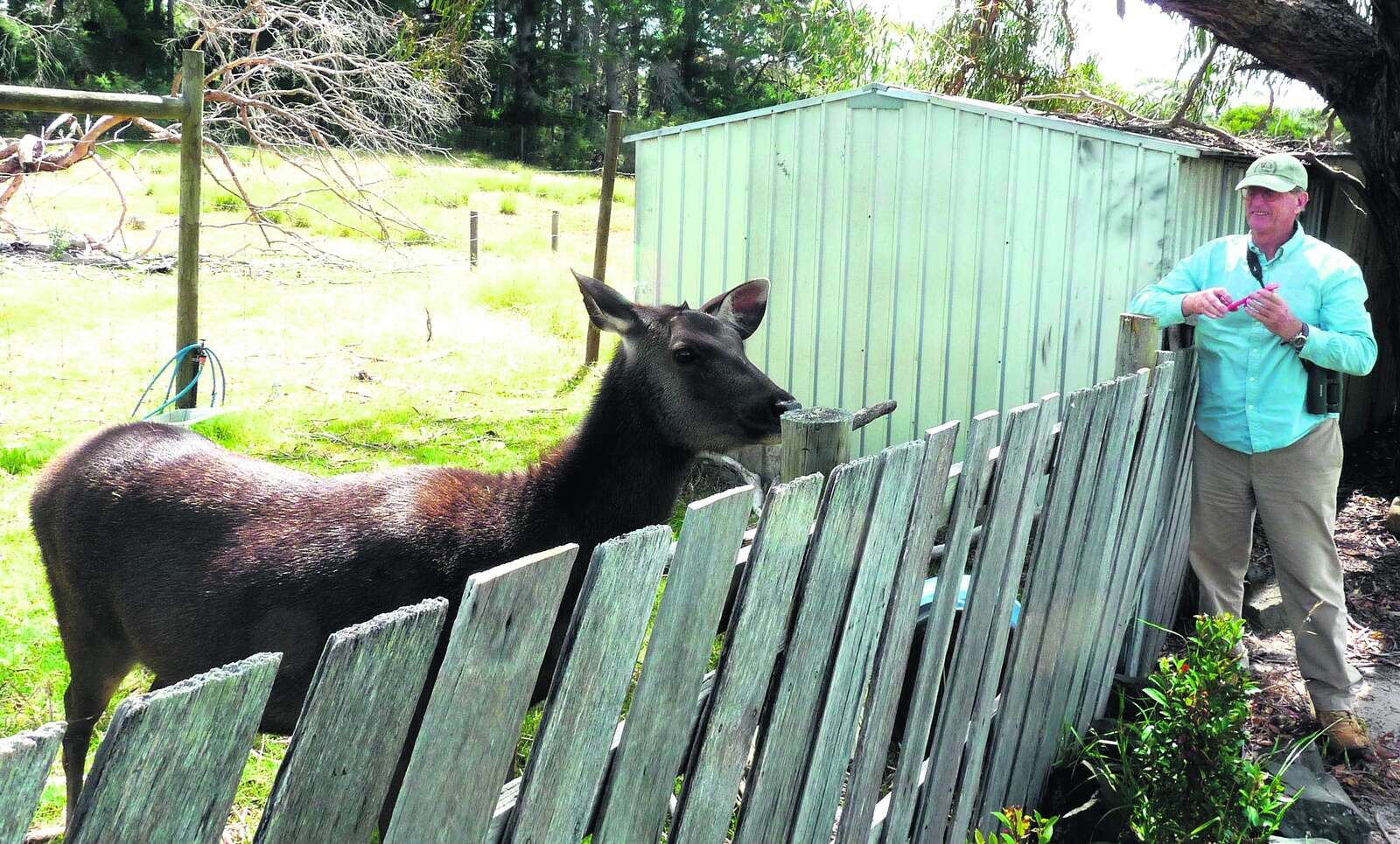 CENTRAL HIGHLANDS BUSHFEST 2025