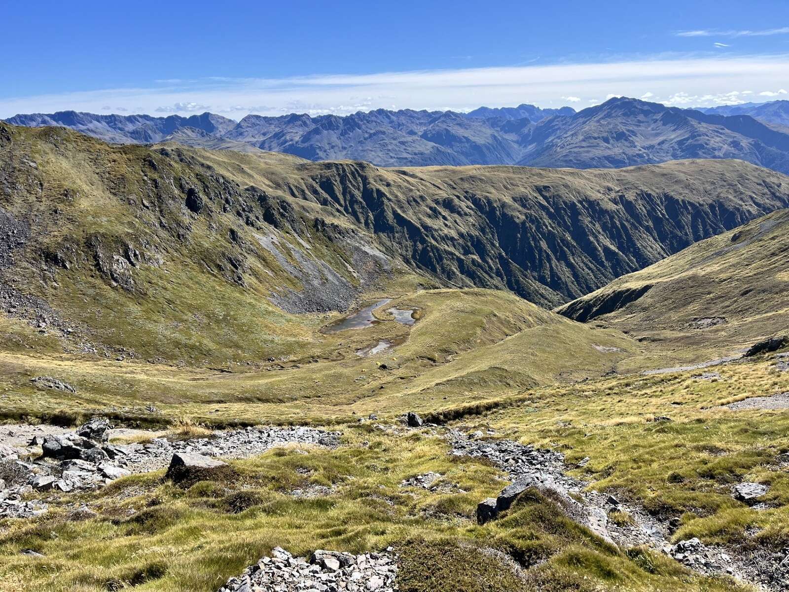HUNTER VALLEY BRANCH NORTH CANTERBURY RED DEER HUNT 2026
