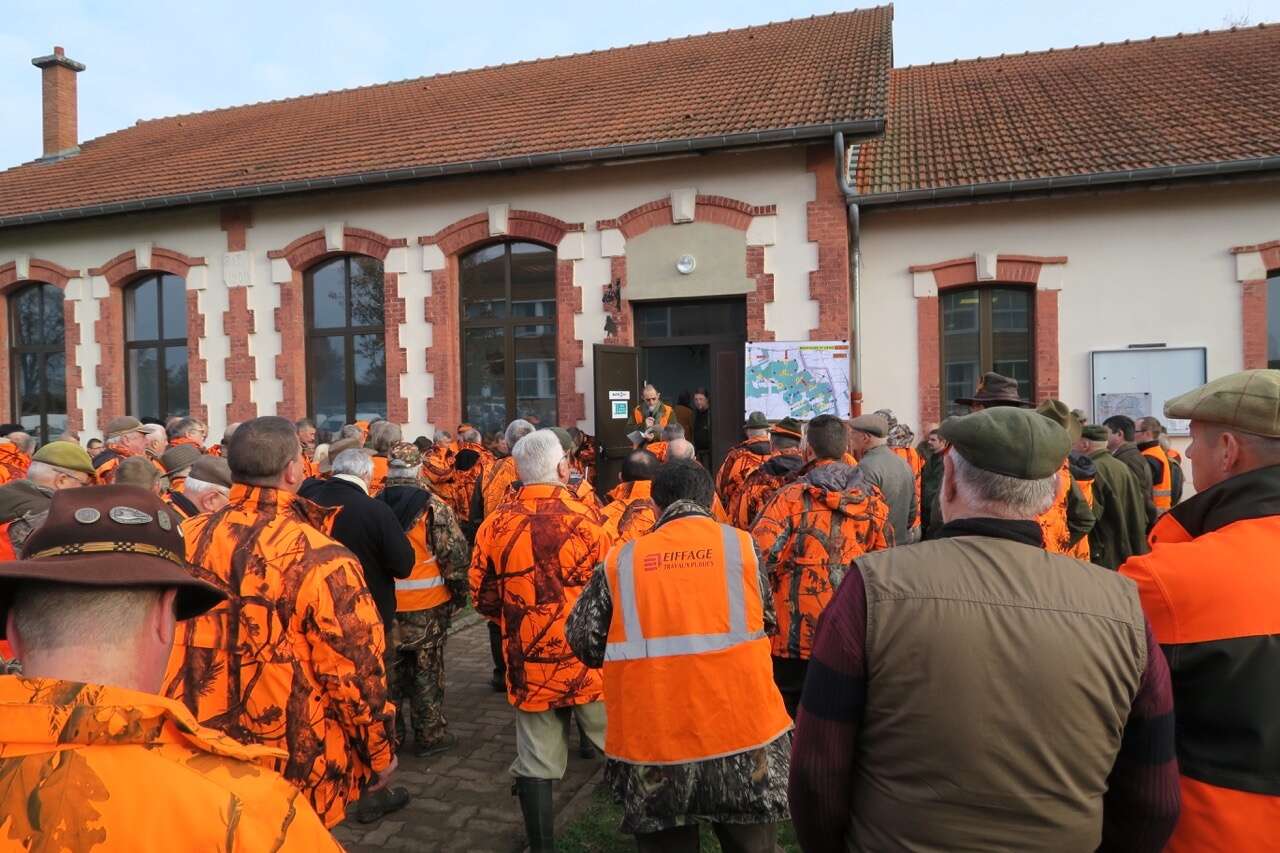 CHASSE BATTUE: DRIVEN HUNTING IN FRANCE