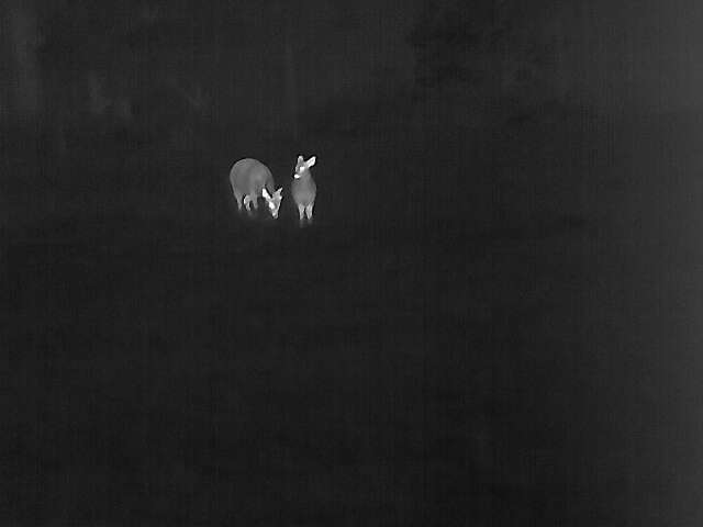 LEICA: PARTNERING PARA PARK INTO THE FUTURE WITH UNMATCHED TECHNOLOGY.