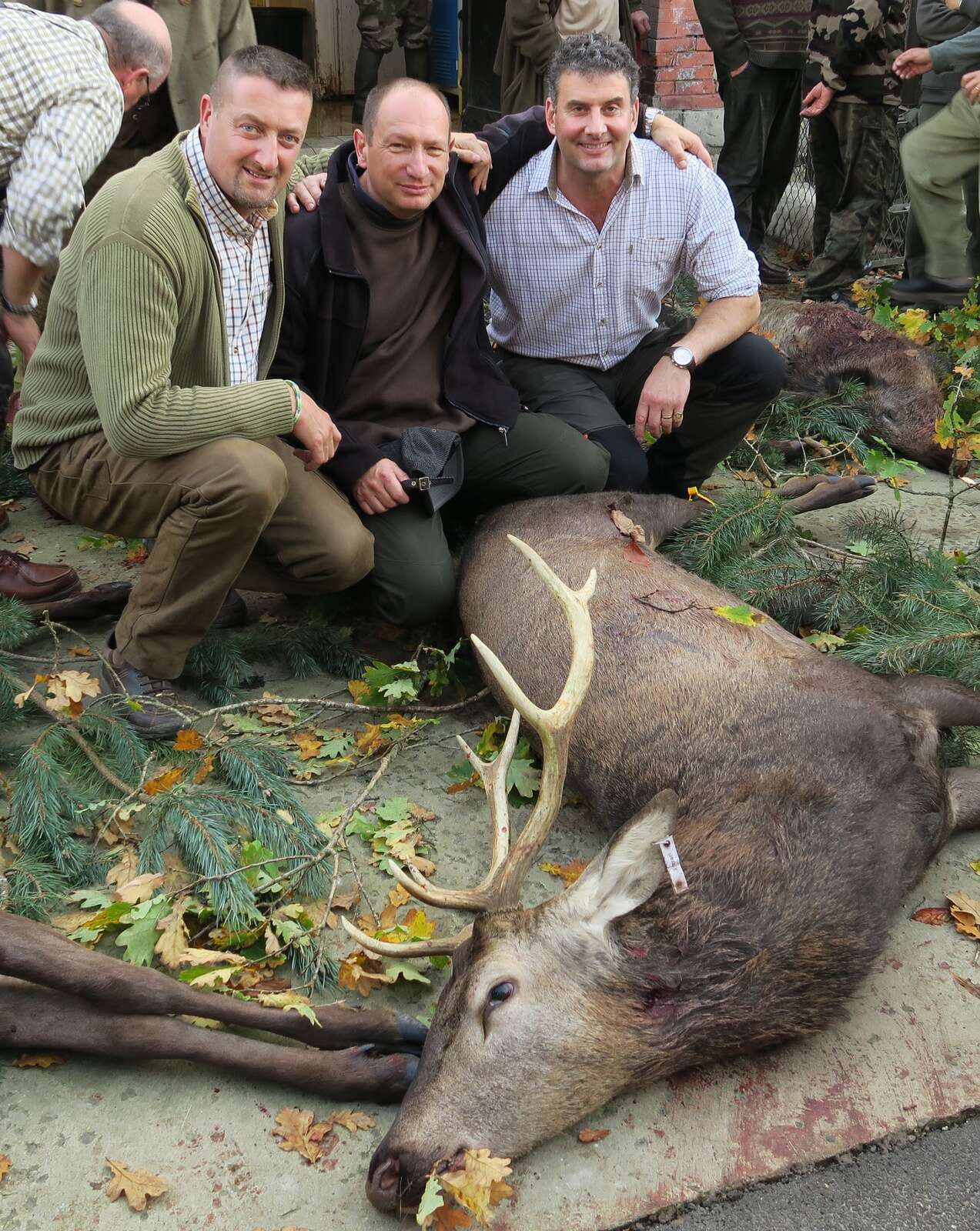 CHASSE BATTUE: DRIVEN HUNTING IN FRANCE