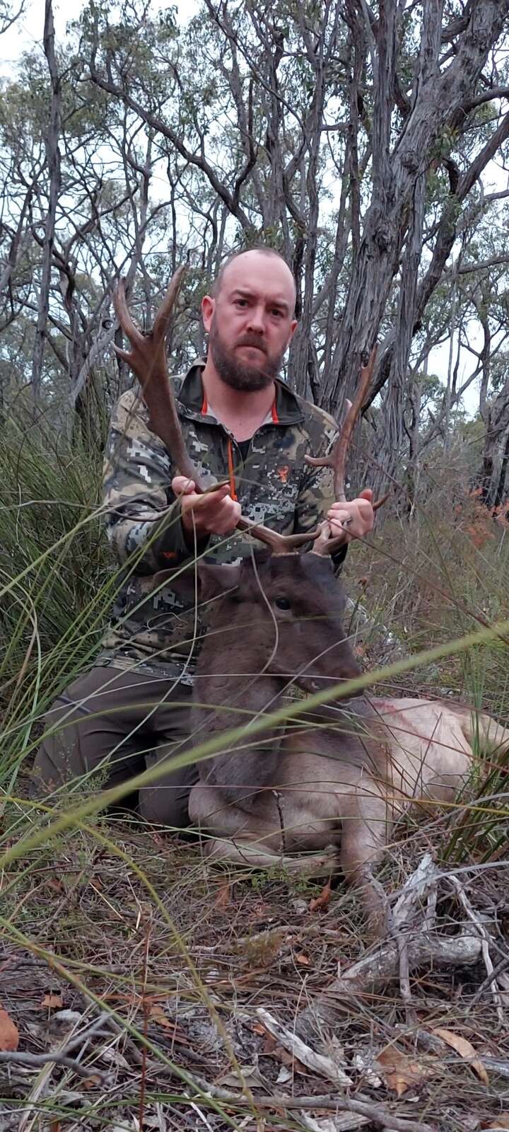 A FIRST FALLOW DEER EXPERIENCE