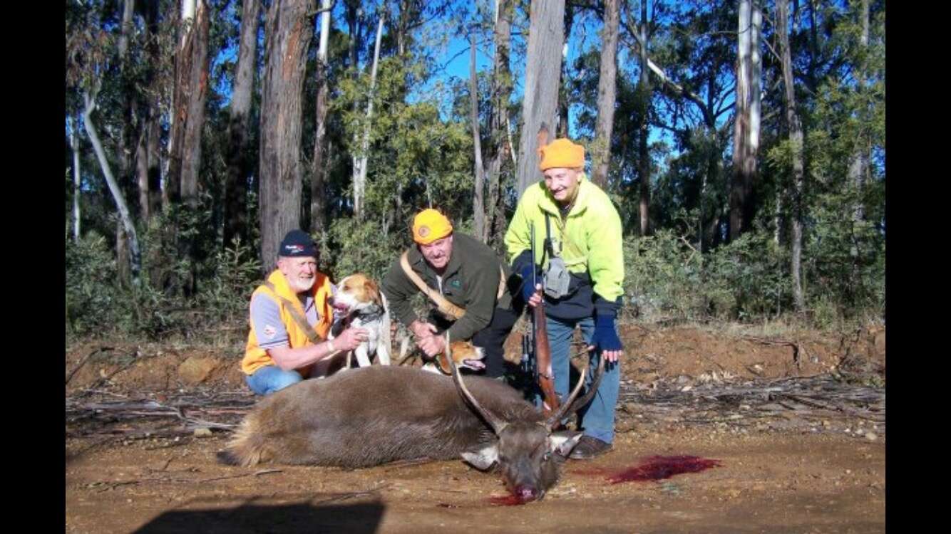 CENTRAL HIGHLANDS BUSHFEST 2025
