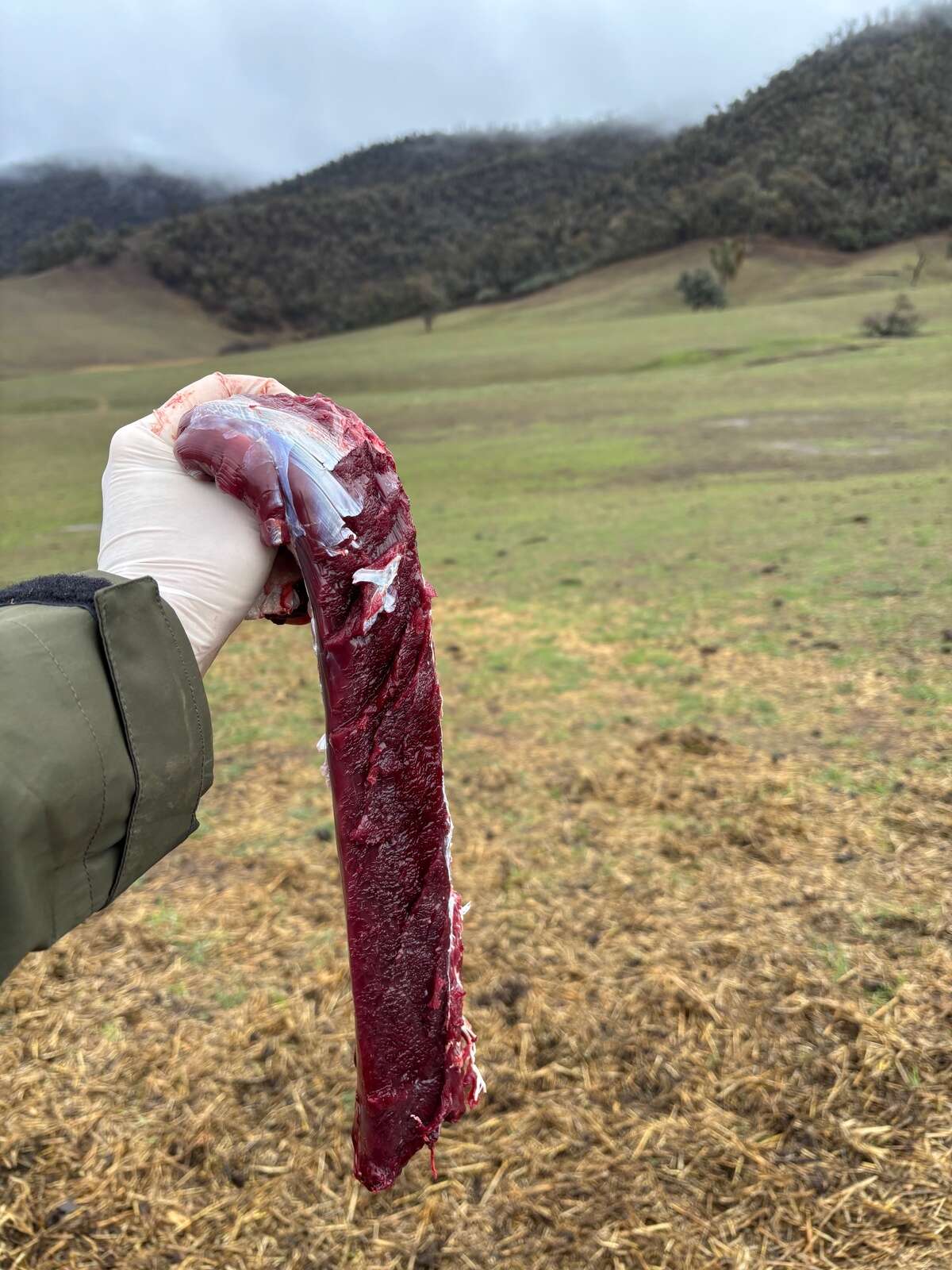 A GUIDE TO GETTING’ INTO HUNTIN’