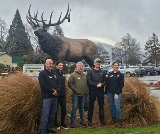 NEW ZEALAND HERDS OF SPECIAL INTEREST