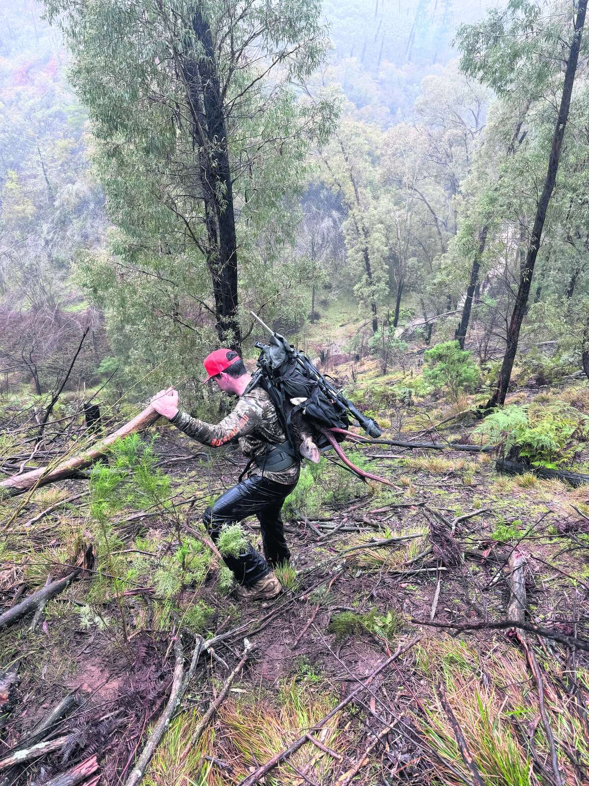 CHASING THE STAGS OF SOUTHERN NSW: A FIVE-DAY PUBLIC LAND HUNT