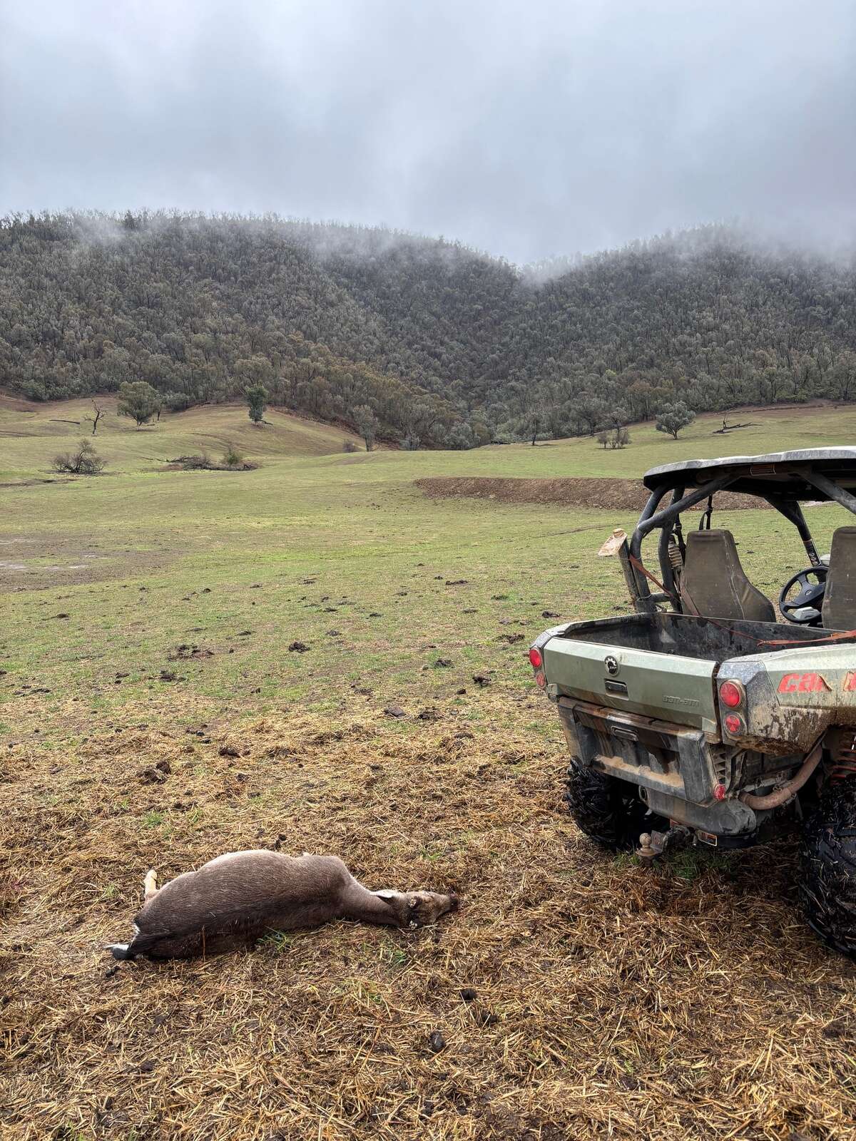 A GUIDE TO GETTING’ INTO HUNTIN’