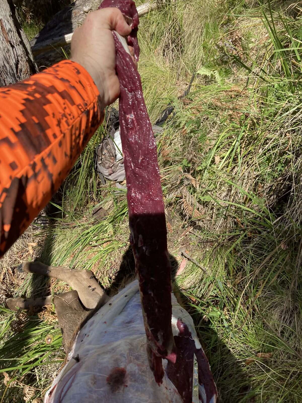 PERSISTENCE PAYS OFF