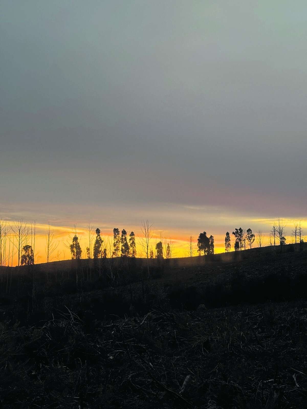 CHASING THE STAGS OF SOUTHERN NSW: A FIVE-DAY PUBLIC LAND HUNT