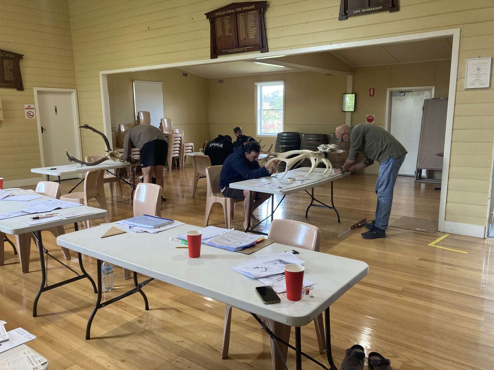 ANTLER MEASURING DAYS