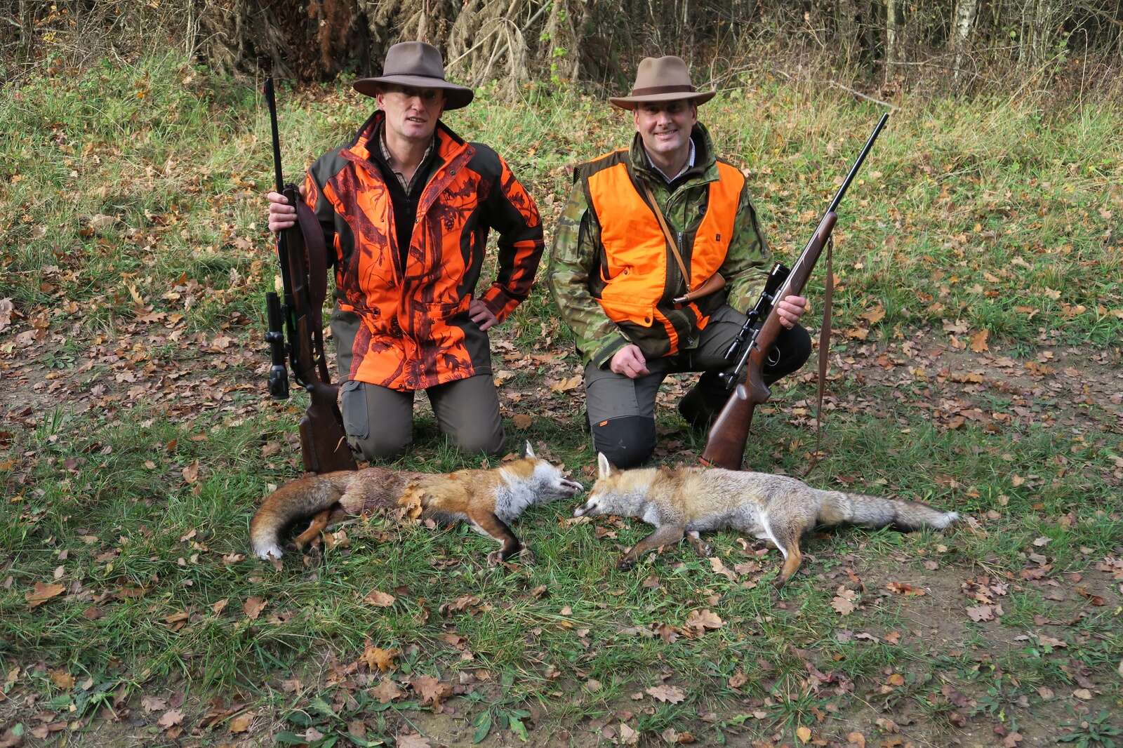 CHASSE BATTUE: DRIVEN HUNTING IN FRANCE