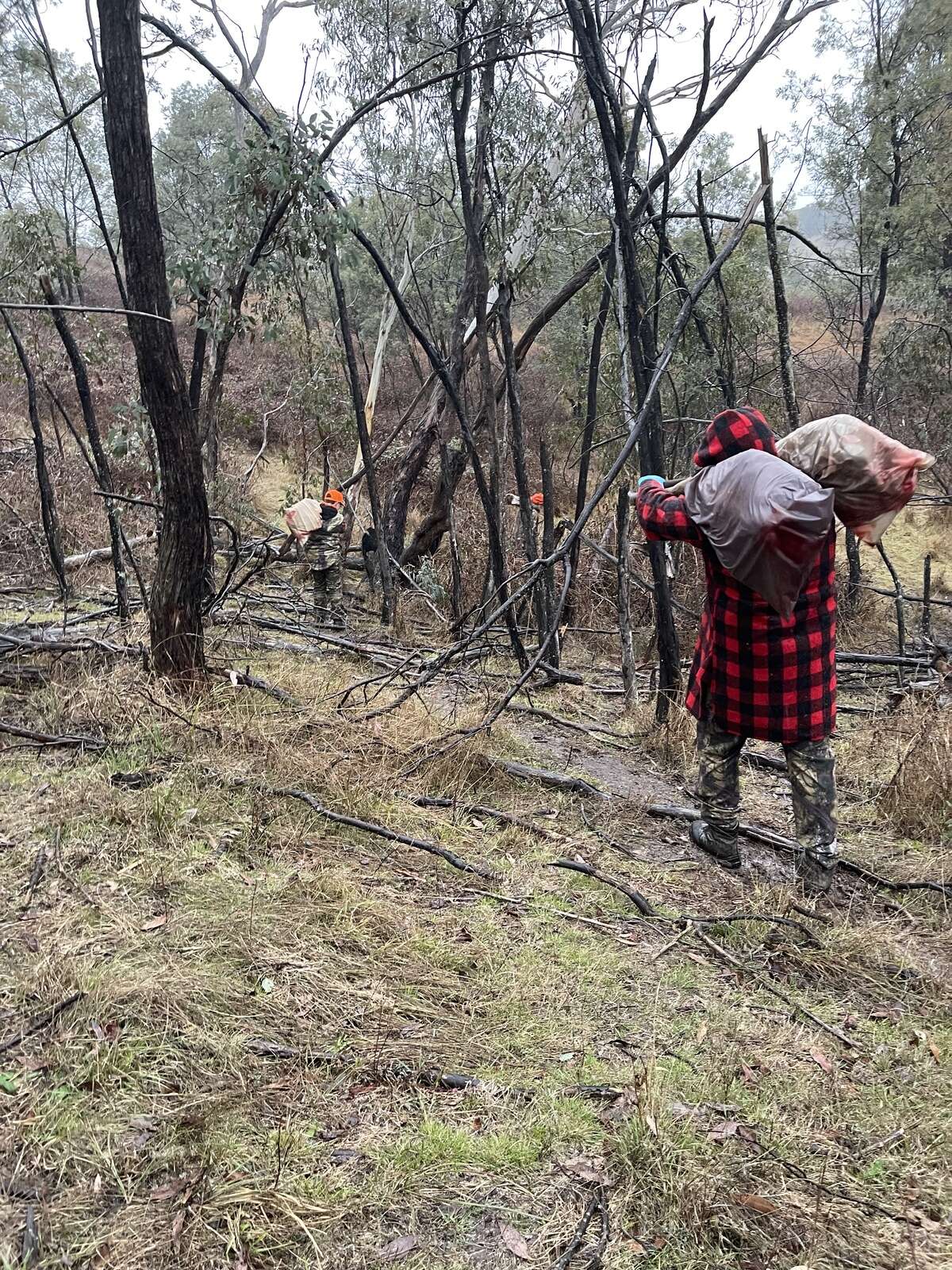 SONNY AND DADS FIRST STAG TOGETHER.