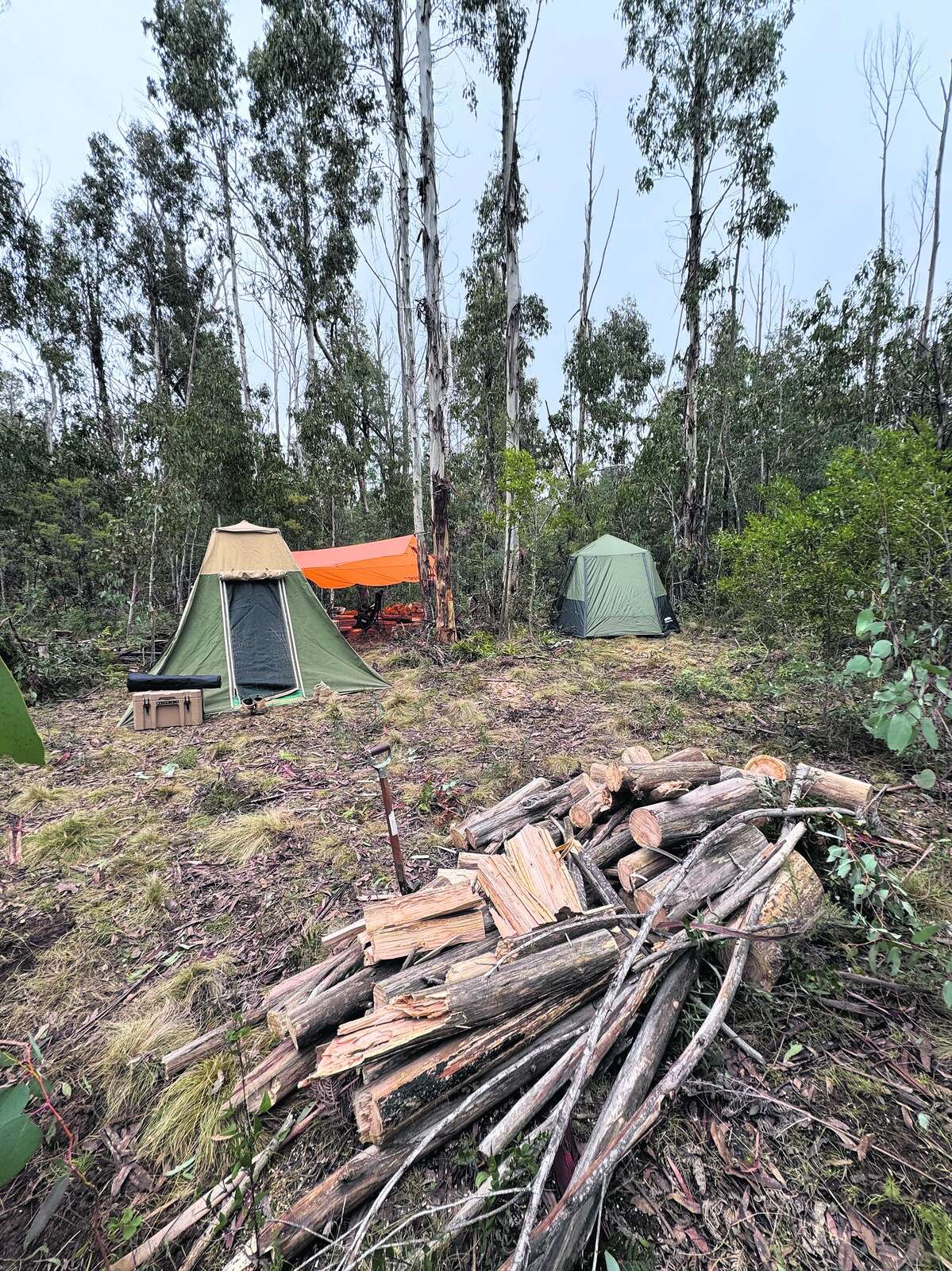 CHASING THE STAGS OF SOUTHERN NSW: A FIVE-DAY PUBLIC LAND HUNT