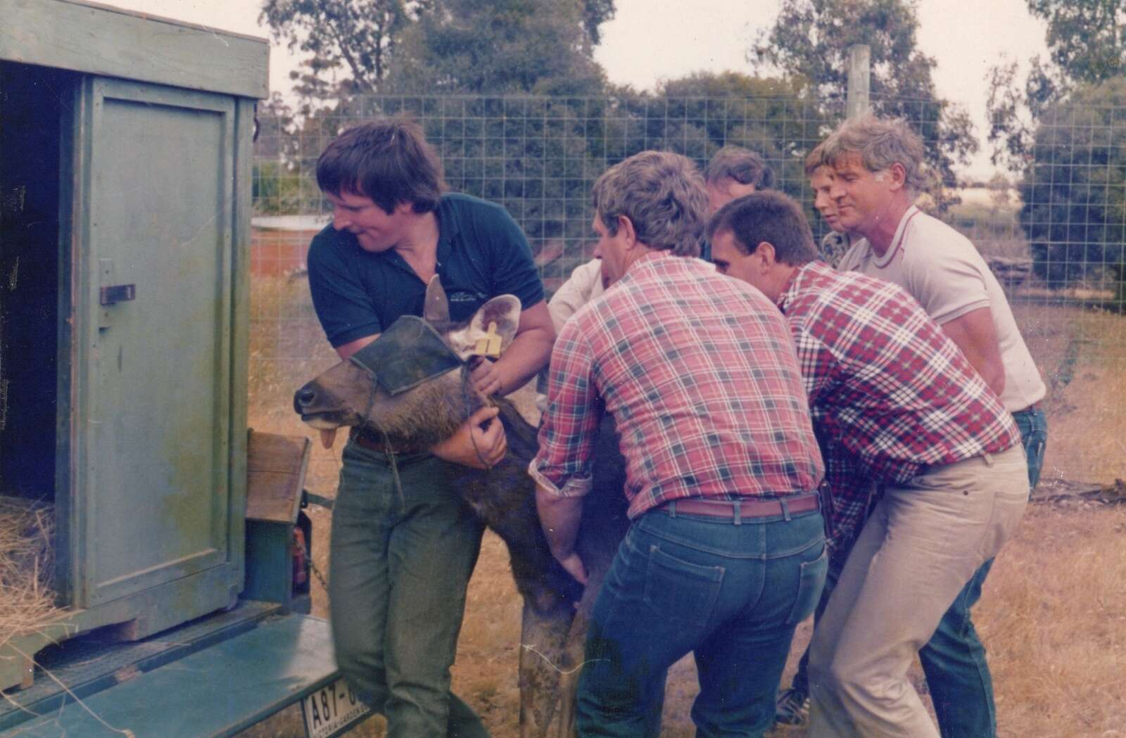 MIKE HARRISON AND THE BUNYIP SAMBAR PROJECT
