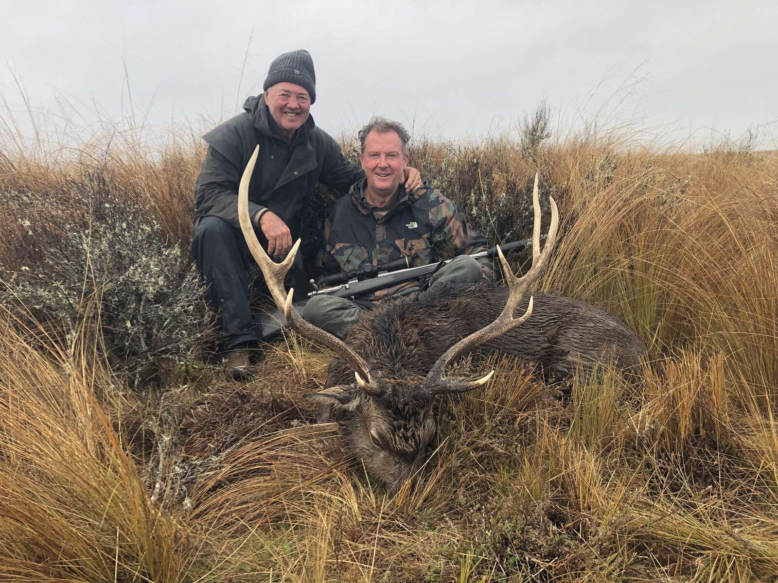 NEW ZEALAND HERDS OF SPECIAL INTEREST