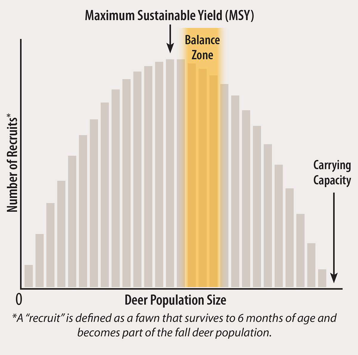 THE BENEFITS OF BALANCING DEER NUMBERS WITH THE CARRYING CAPACITY OF THEIR HABITAT