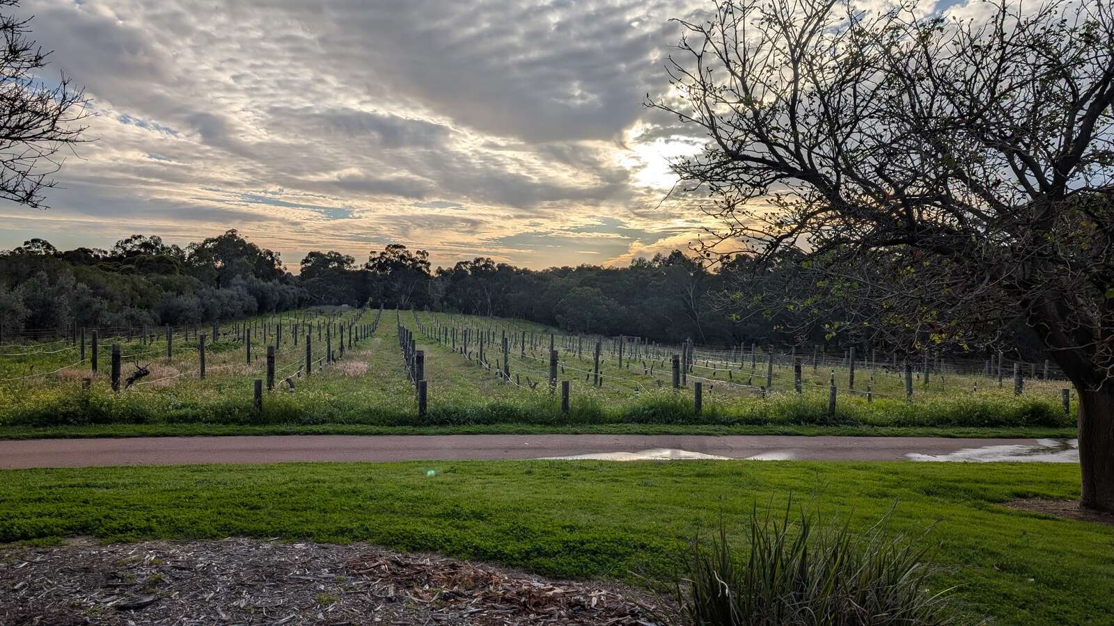 GOOD FOOD WITH GOOD FRIENDS – WA HUNTER’S WINTER DINNER