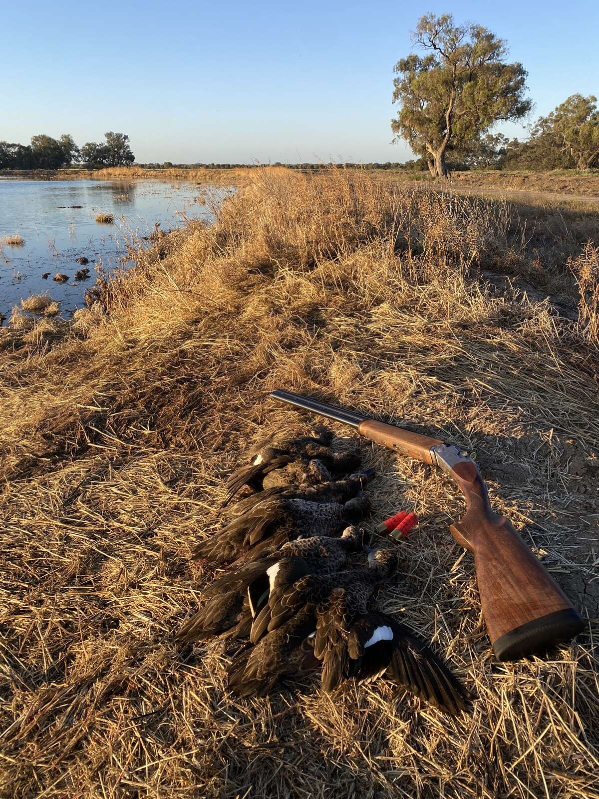 A GUIDE TO GETTING’ INTO HUNTIN’