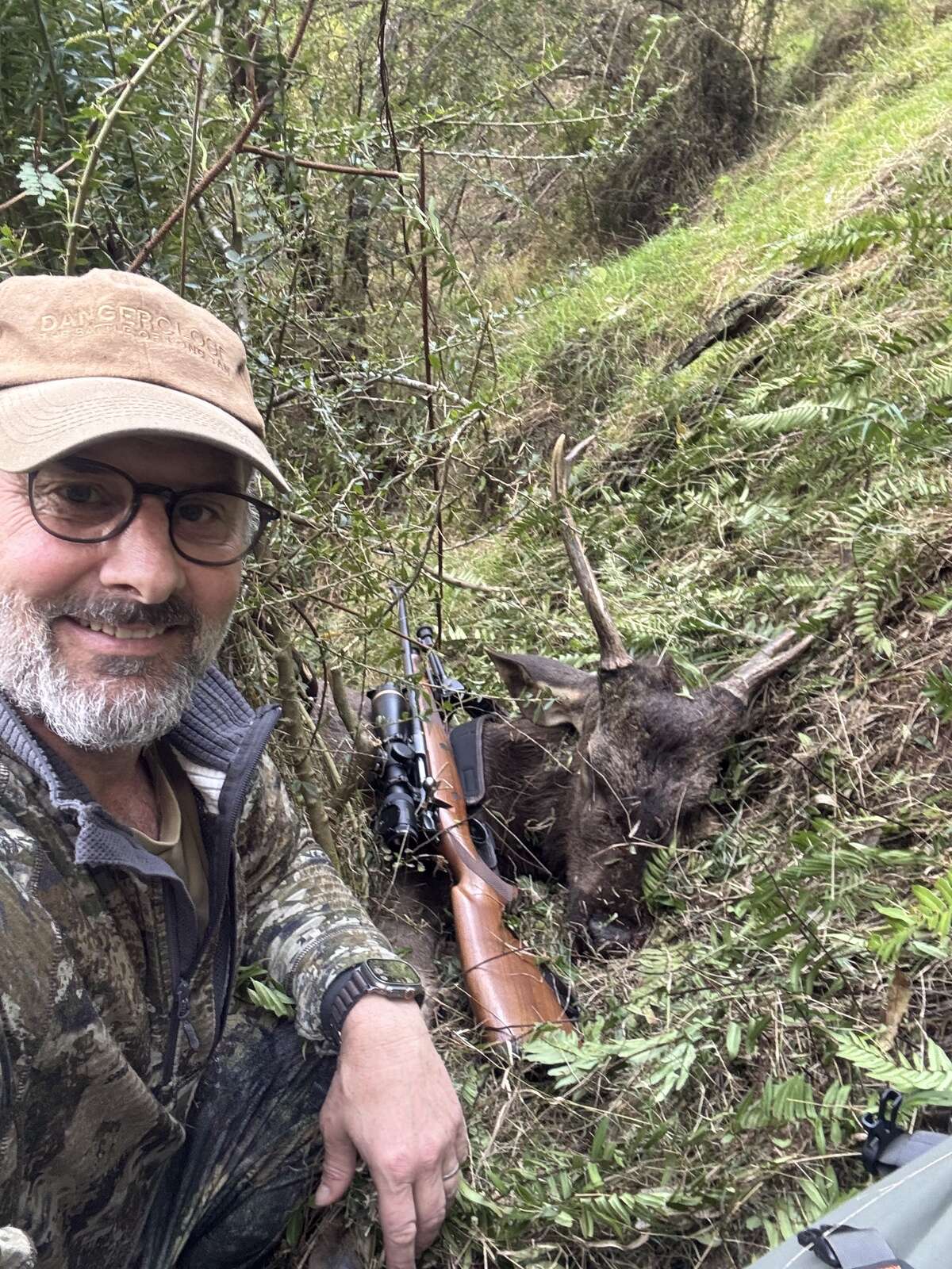 SAMBAR STAG SURPRISE
