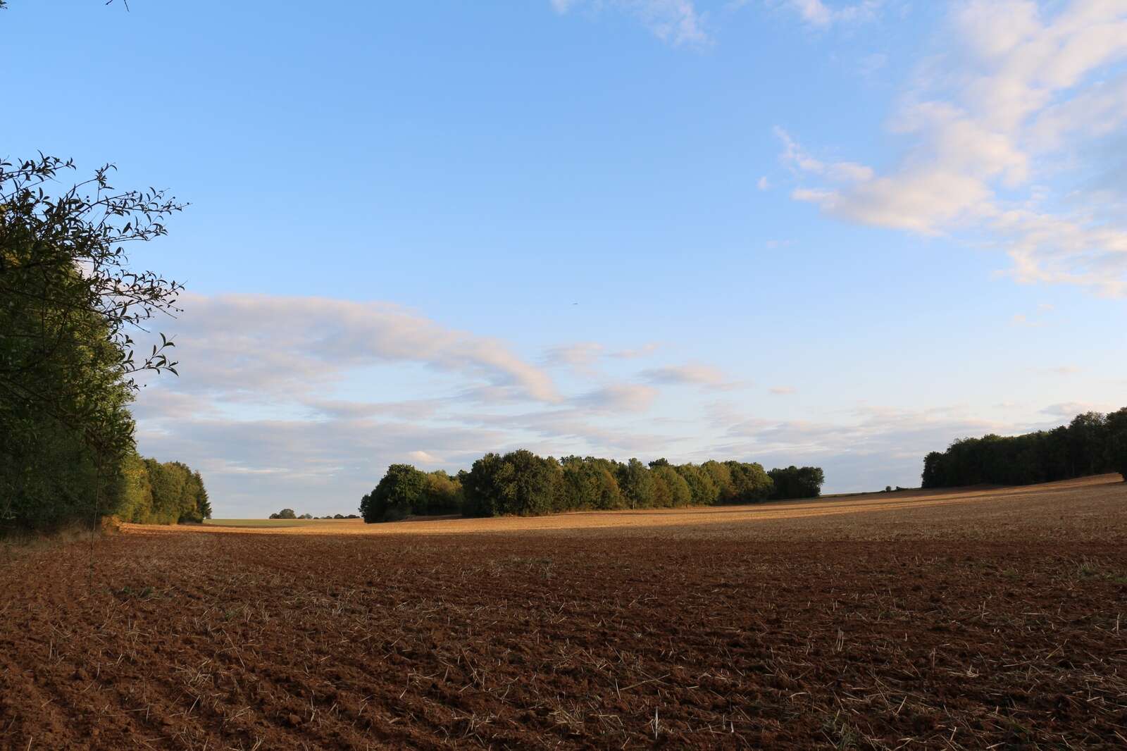 ROE DEER HUNTING IN FRANCE – LE CHEVREUIL