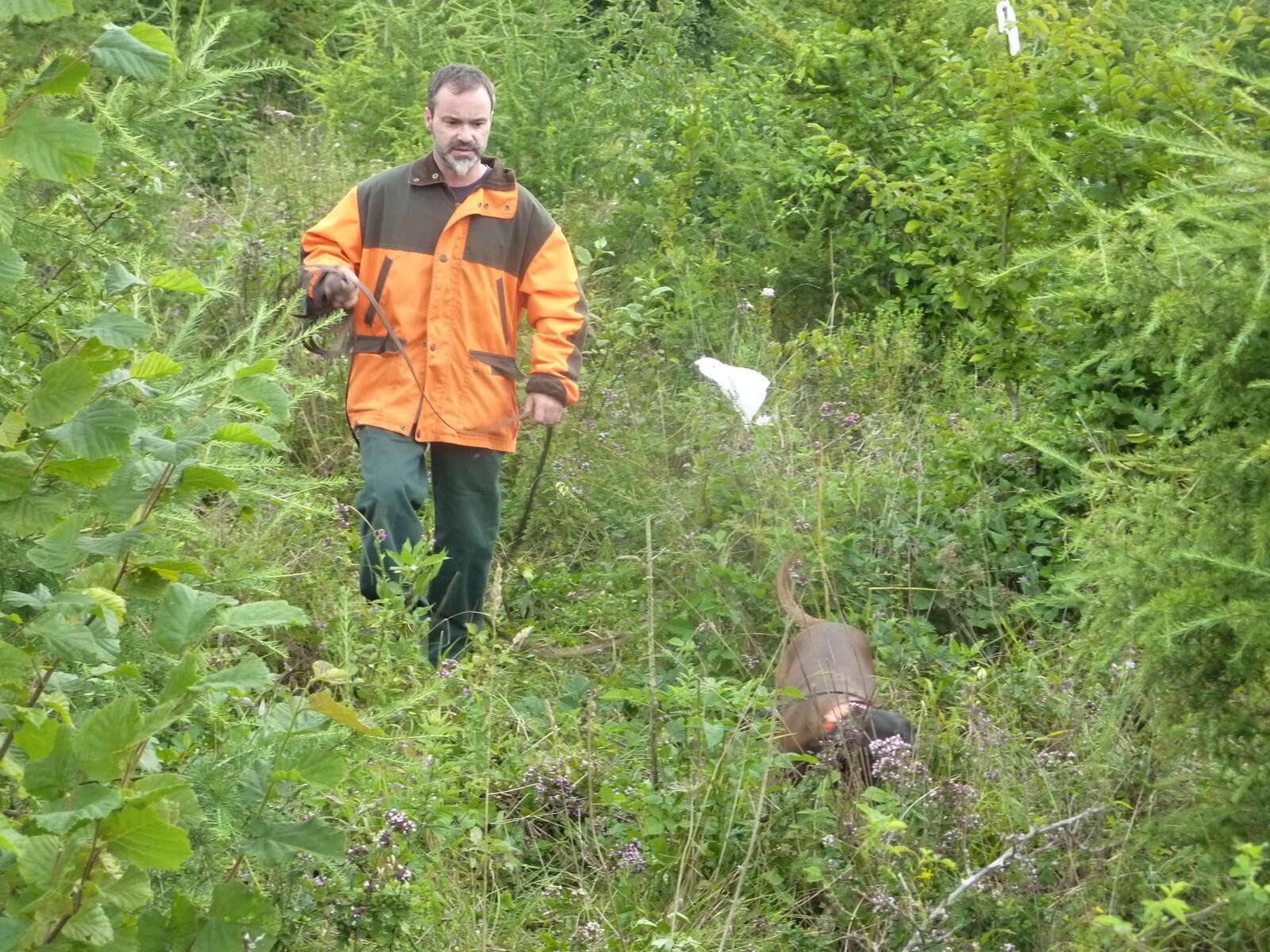 ROE DEER HUNTING IN FRANCE – LE CHEVREUIL