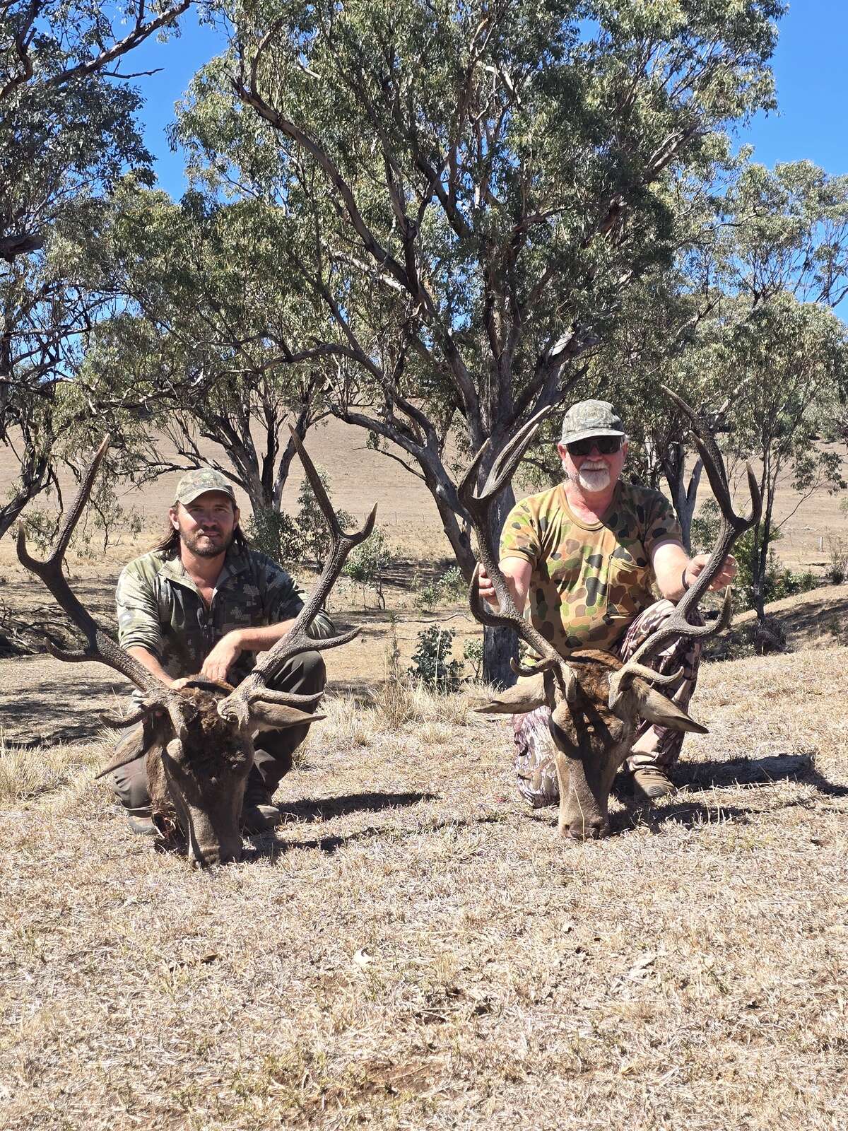 REDS IN THE HUNTER VALLEY HILLS