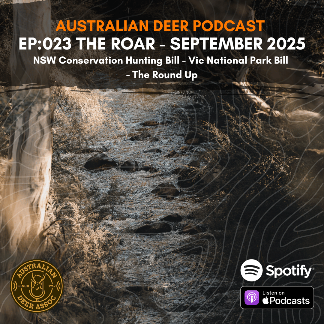Ep:023 The Roar: September 2025