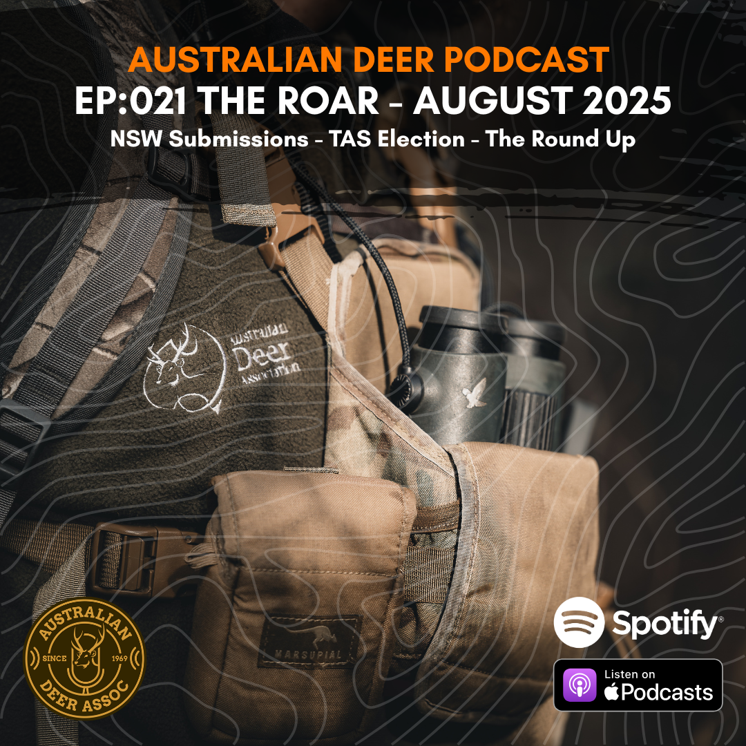 Ep:021 The Roar: August 2025