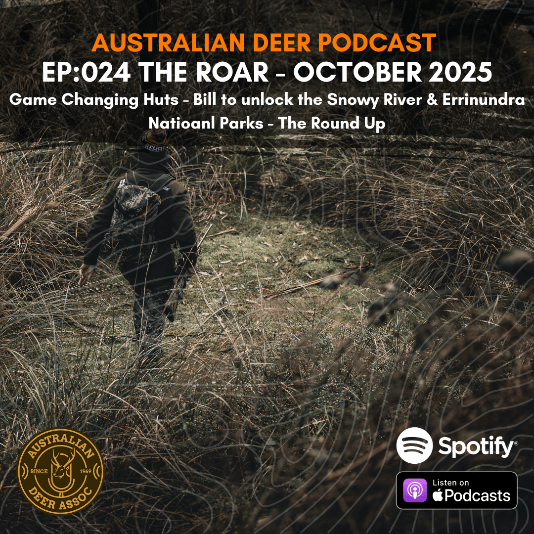 Ep:024 The Roar: October 2025