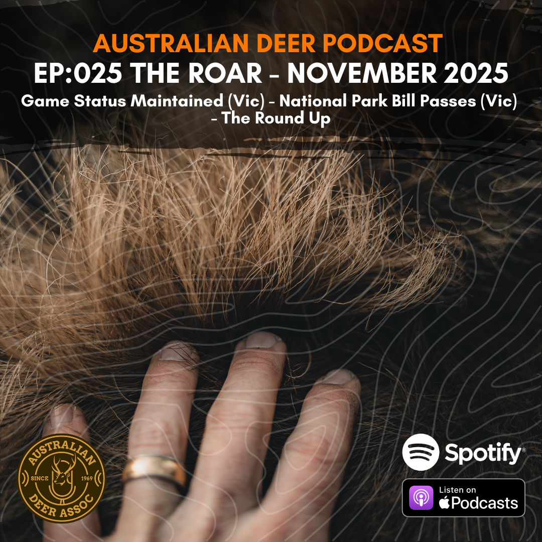 Ep:025 The Roar: November 2025