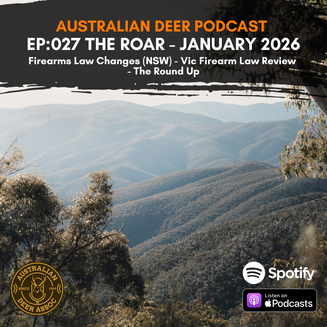 Ep:027 The Roar: January 2026