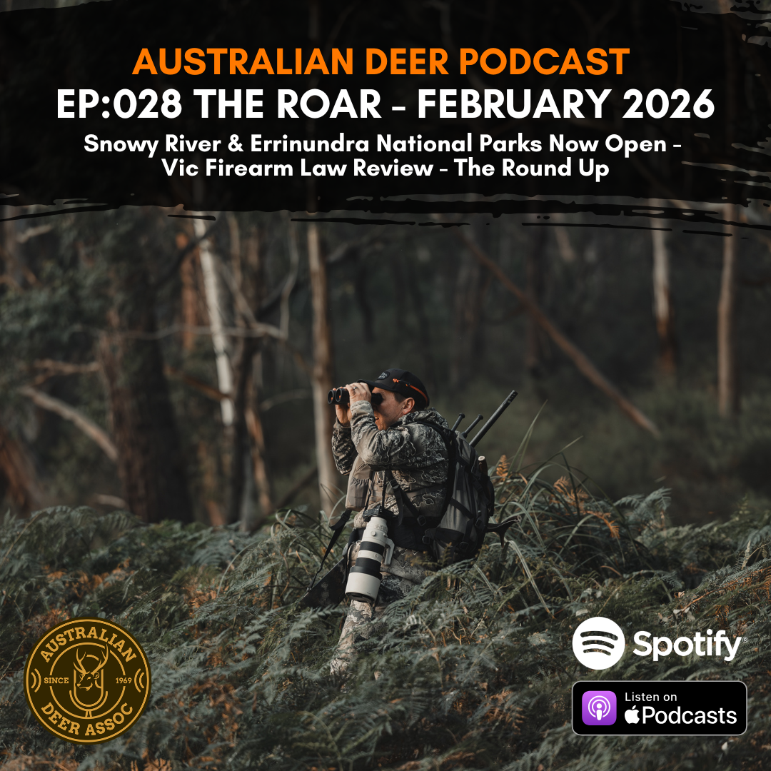 Ep:028 The Roar: February 2026