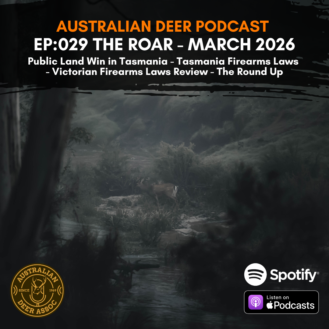 Ep:029 The Roar: March 2026