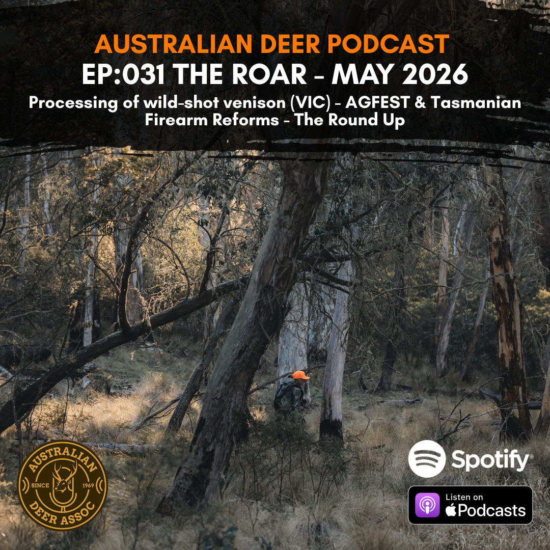 Ep:031 The Roar: May 2026
