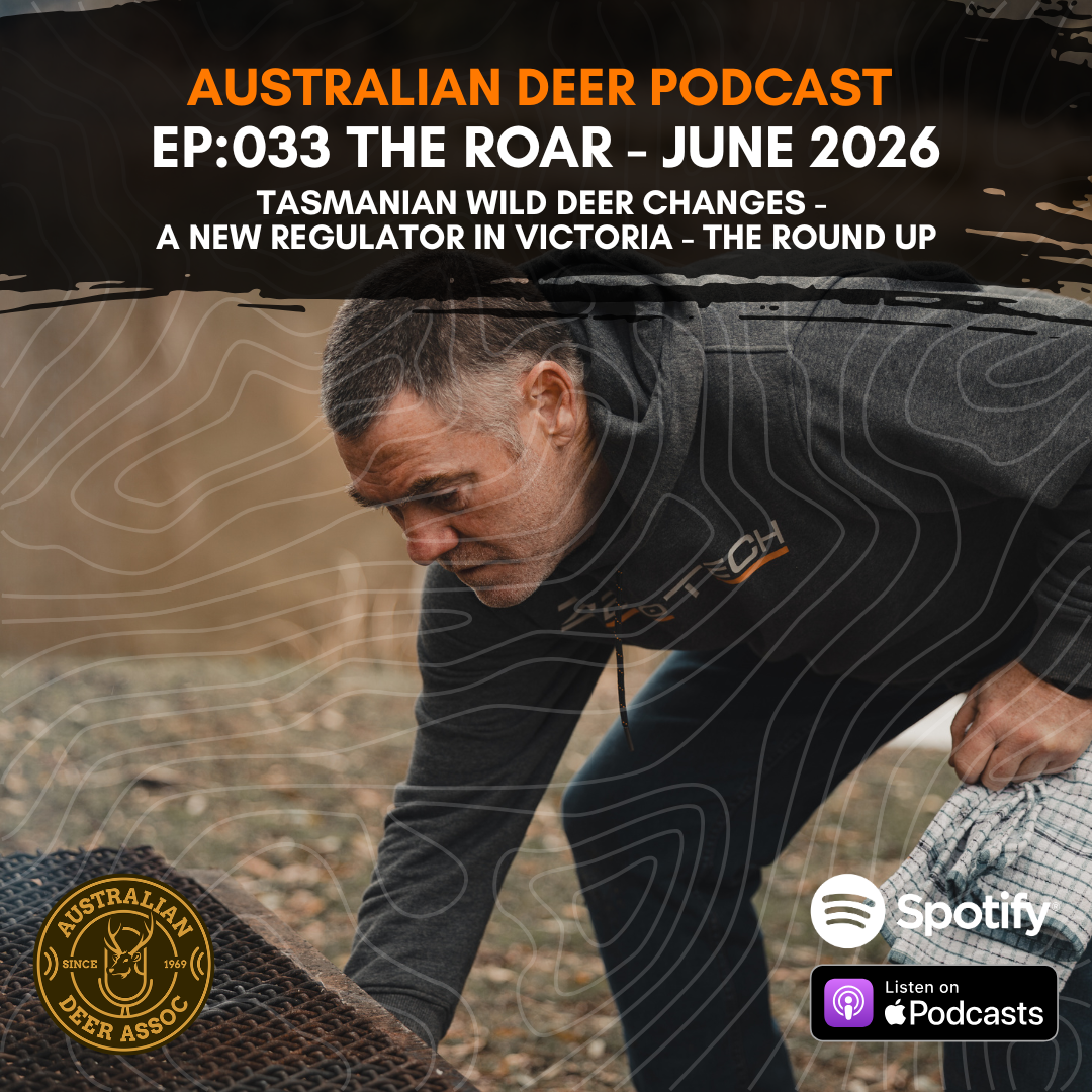 Ep:033 The Roar: June 2026
