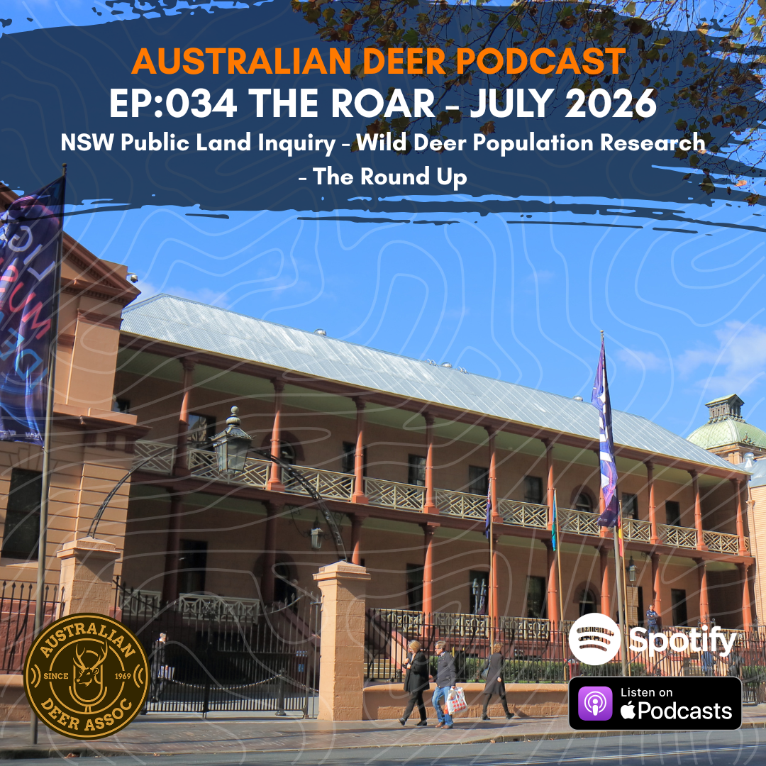 Ep:034 The Roar: July 2026