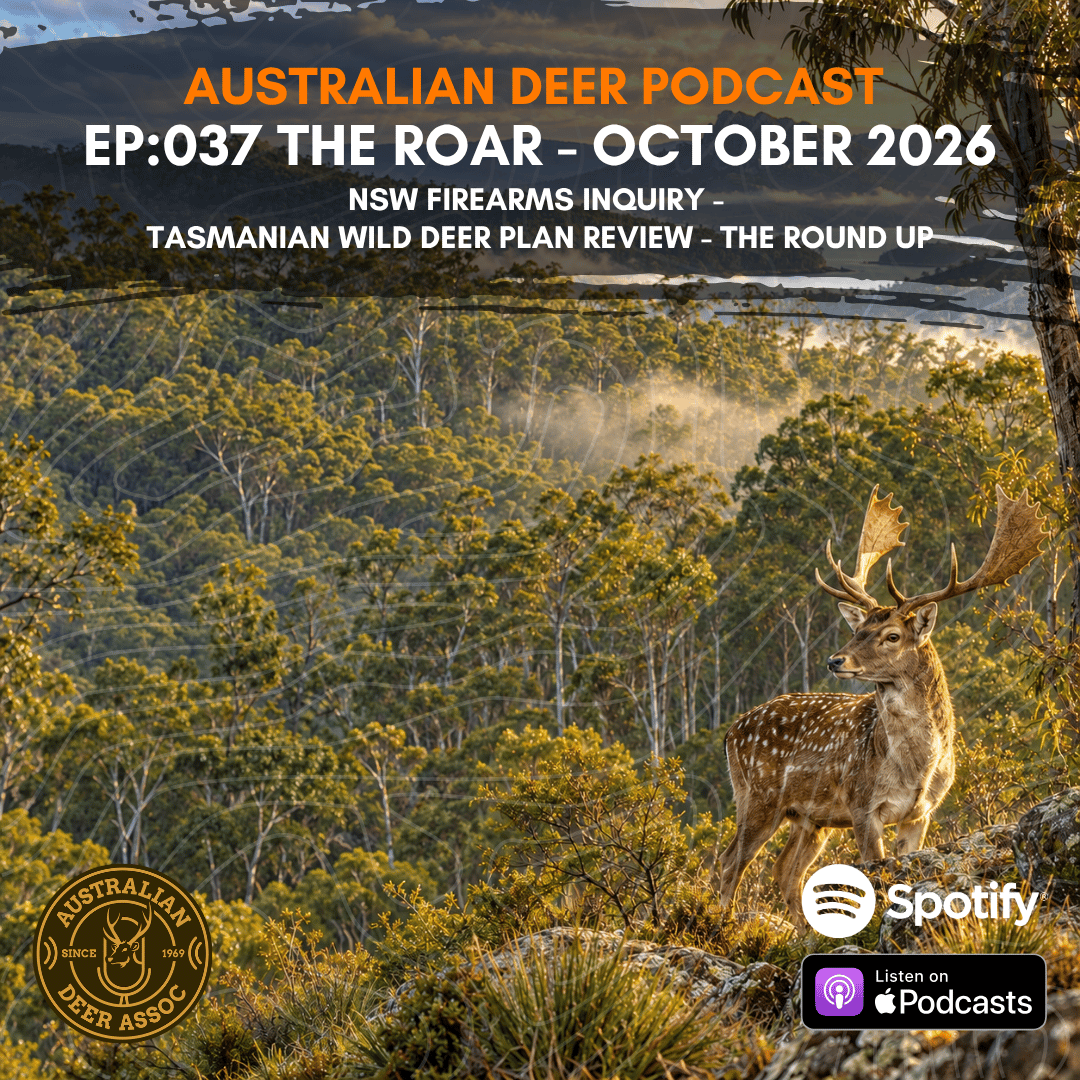 Ep:037 The Roar: October 2026